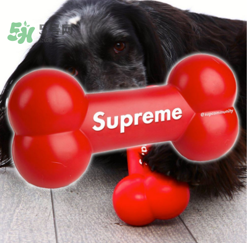supreme狗骨頭玩具是真的嗎？supreme骨頭玩具會(huì)發(fā)售嗎？