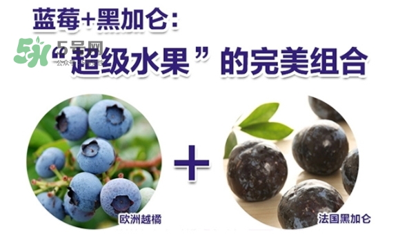 fancl藍莓護眼怎么樣？fancl藍莓護眼和pola護眼哪個好