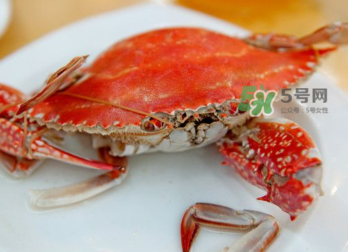 梭子蟹可以清蒸嗎？梭子蟹蒸還是煮？