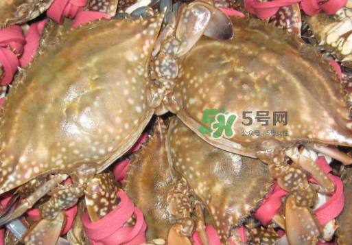 梭子蟹放冷藏還是冷凍？梭子蟹可以放速凍嗎？