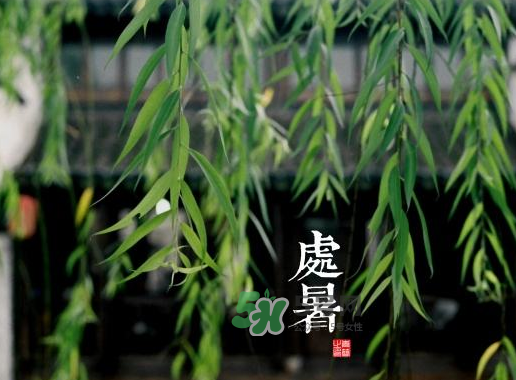 2017處暑還熱嗎？2017處暑后天氣還熱嗎？