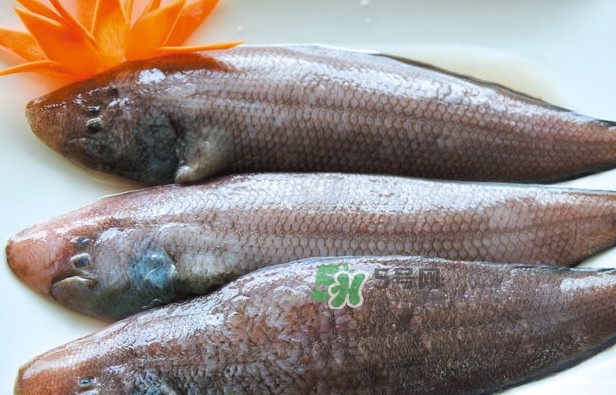 龍利魚是發(fā)物嗎？懷孕能不能吃龍利魚