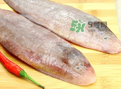 寶寶多大能吃龍利魚？幾個(gè)月的寶寶可以吃龍利魚
