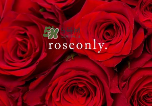 2017七夕禮盒roseonly多少錢？roseonly巨型玫瑰禮盒多少錢？