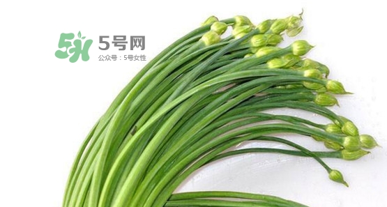 韭菜苔孕婦能吃嗎？孕婦可以吃韭菜苔嗎