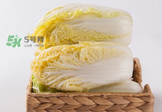娃娃菜是什么季節(jié)的？娃娃菜什么時(shí)候種植