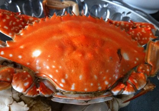 梭子蟹可以清蒸嗎？梭子蟹蒸還是煮？