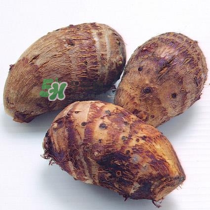 中秋節(jié)為什么吃芋頭？中秋節(jié)吃芋頭的來源
