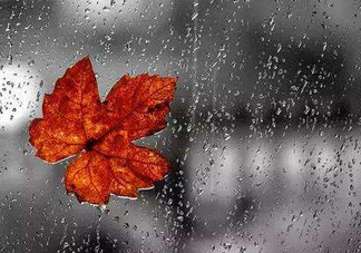 2017處暑會下雨嗎？處暑會下雨好嗎？