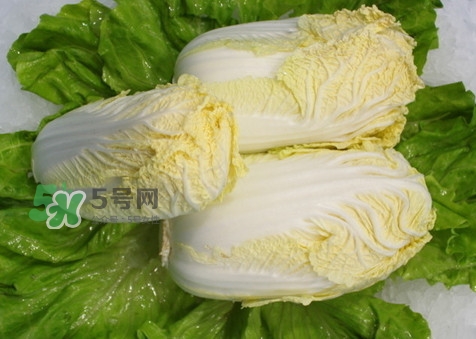 娃娃菜可以放冰箱嗎？娃娃菜可以放多久