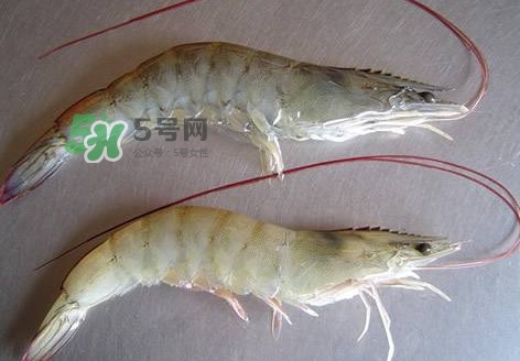 太湖白蝦多少錢一斤？太湖白蝦干多少錢一斤