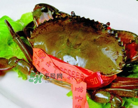 青蟹能放幾天？青蟹能活多久？
