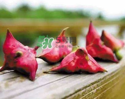 紅菱什么時候上市？什么時候采紅菱