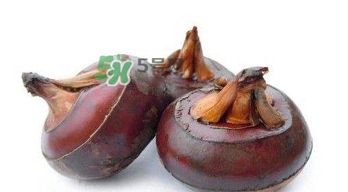吃荸薺有什么好處？吃荸薺的禁忌