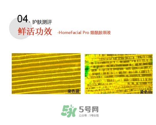 homefacialpro煙酰胺原液怎么樣？hfp煙酰胺原液好用嗎