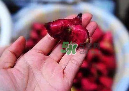 紅菱怎么吃？吃紅菱有什么好處？