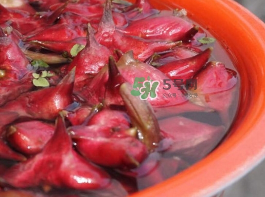 紅菱什么時候上市？什么時候采紅菱