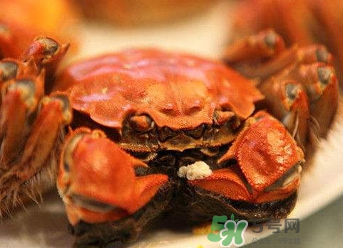 太湖蟹什么時(shí)候上市？太湖蟹幾月份有