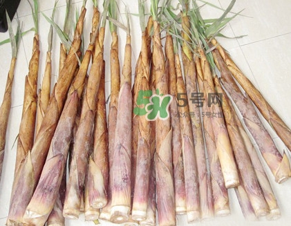 苦筍是什么竹子？苦筍是發(fā)物嗎
