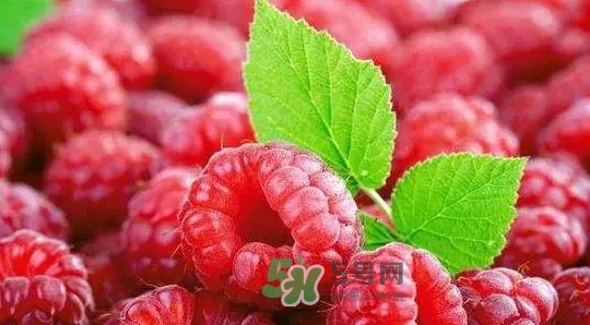 pola莓果酵素怎么吃？pola紅莓酵素怎么樣？