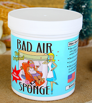 Bad Air Sponge有用嗎？Bad Air Sponge效果如何？