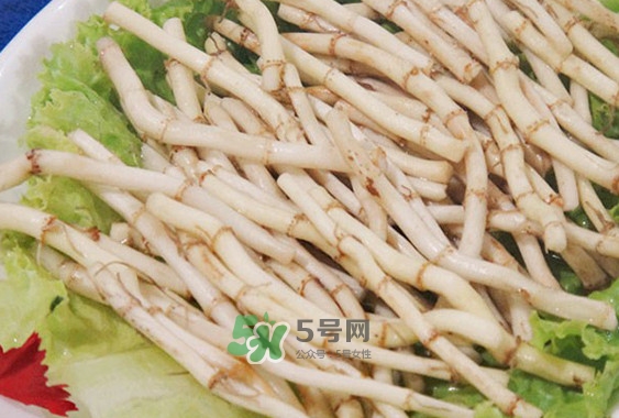新鮮的折耳根怎么保存？折耳根能放多久