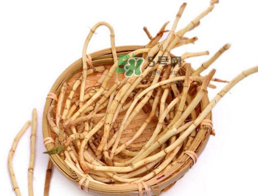 折耳根有毒嗎？折耳根有毒吃了會傷腎？