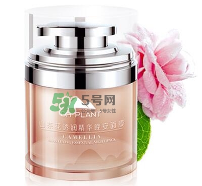 植物醫(yī)生睡眠面膜怎么樣？植物醫(yī)生晚安面膜價格