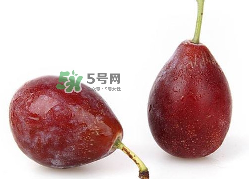 烏梅是西梅嗎？烏梅和西梅的區(qū)別