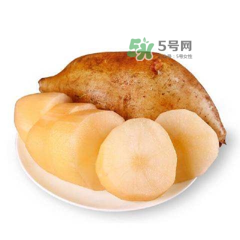 雪蓮果怎么挑？雪蓮果怎么儲存方法？