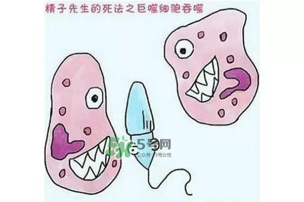 殺精的食物有哪些？吃什么東西殺精？