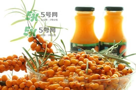 沙棘是什么？沙棘的功效與作用