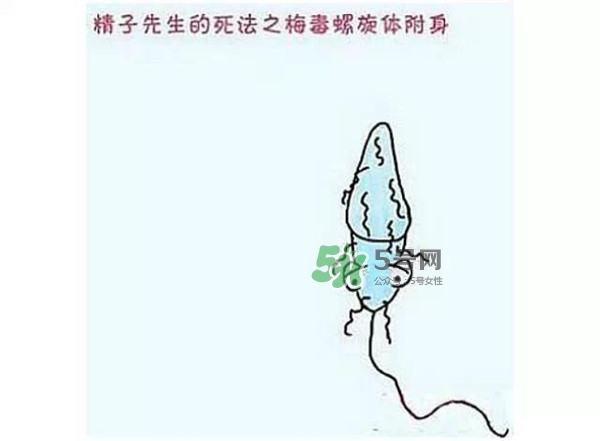 殺精的食物有哪些？吃什么東西殺精？