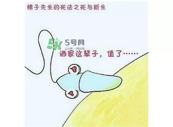 殺精的食物有哪些？吃什么東西殺精？