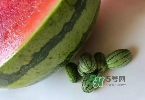 拇指西瓜多少錢一斤？拇指西瓜一口能吃幾個(gè)？