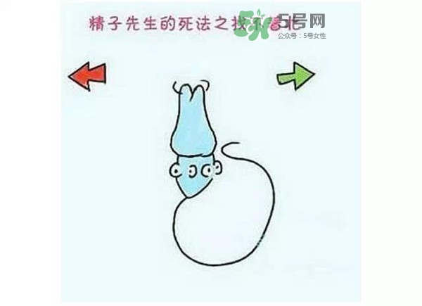 殺精的食物有哪些？吃什么東西殺精？