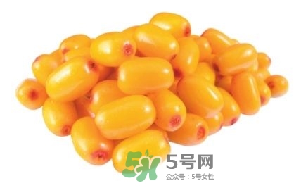沙棘怎么吃？沙棘果的食用禁忌