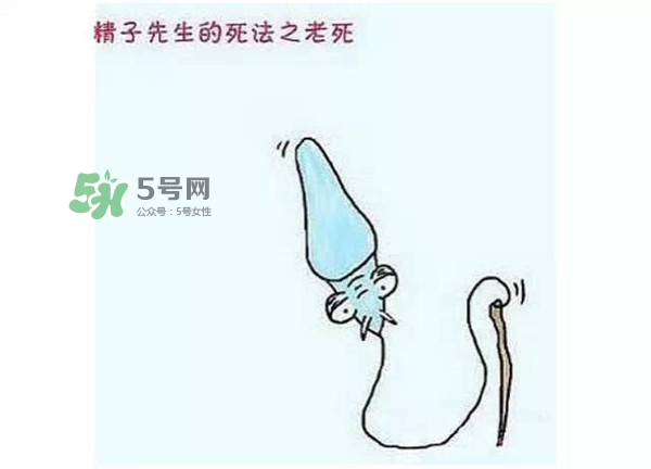 殺精的食物有哪些？吃什么東西殺精？