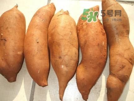 雪蓮果是水果嗎？雪蓮果是什么季節(jié)的水果？