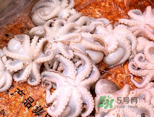八爪魚可以冷凍嗎？八爪魚可以放冰箱嗎？