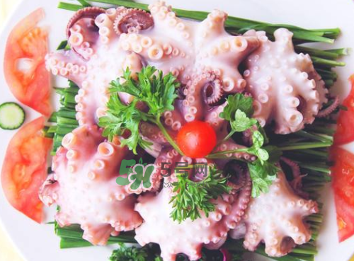八爪魚什么地方不能吃？八爪魚哪里不能吃？