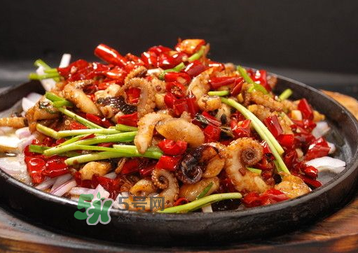 八爪魚煮多久才好？八爪魚需要煮多久？