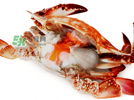 吃梭子蟹會胖嗎？梭子蟹吃了會胖嗎？ 