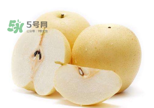 皇冠梨和雪花梨哪個(gè)好？雪花梨和皇冠梨的區(qū)別