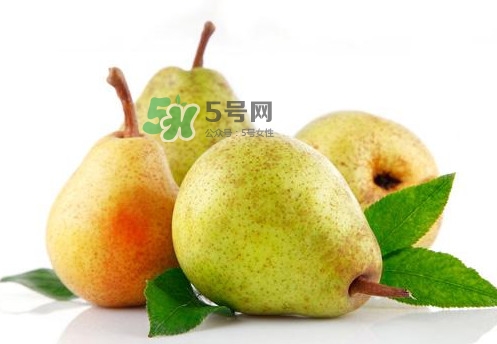 梨子是什么季節(jié)的水果？梨子什么季節(jié)吃最好