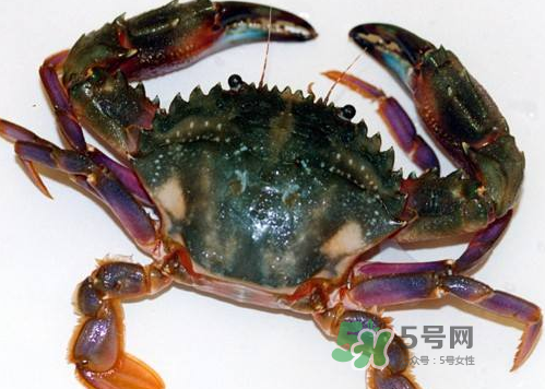 螃蟹腿藍(lán)色的是什么？螃蟹腿為什么是藍(lán)色？