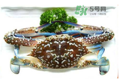 螃蟹腿藍(lán)色的是什么？螃蟹腿為什么是藍(lán)色？