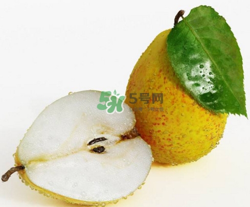 為什么梨子是溫度最高的水果？梨子什么人不能吃