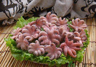 八爪魚煮多久才好？八爪魚需要煮多久？
