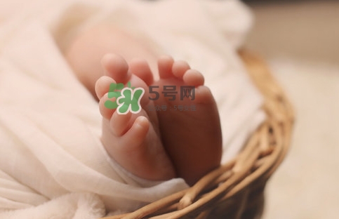 孕婦怎么吃燕窩最好？哪些孕媽需要吃燕窩？